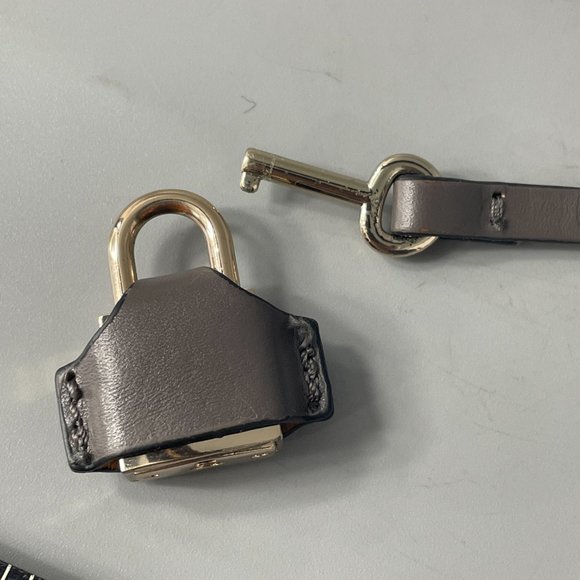V 73 Gold-tone Lock with Gray Case and Hanging Strap - Picture 10 of 10